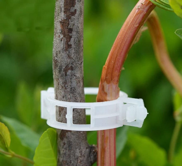 Green Garden Safe Plant Support Clips | Bowlift