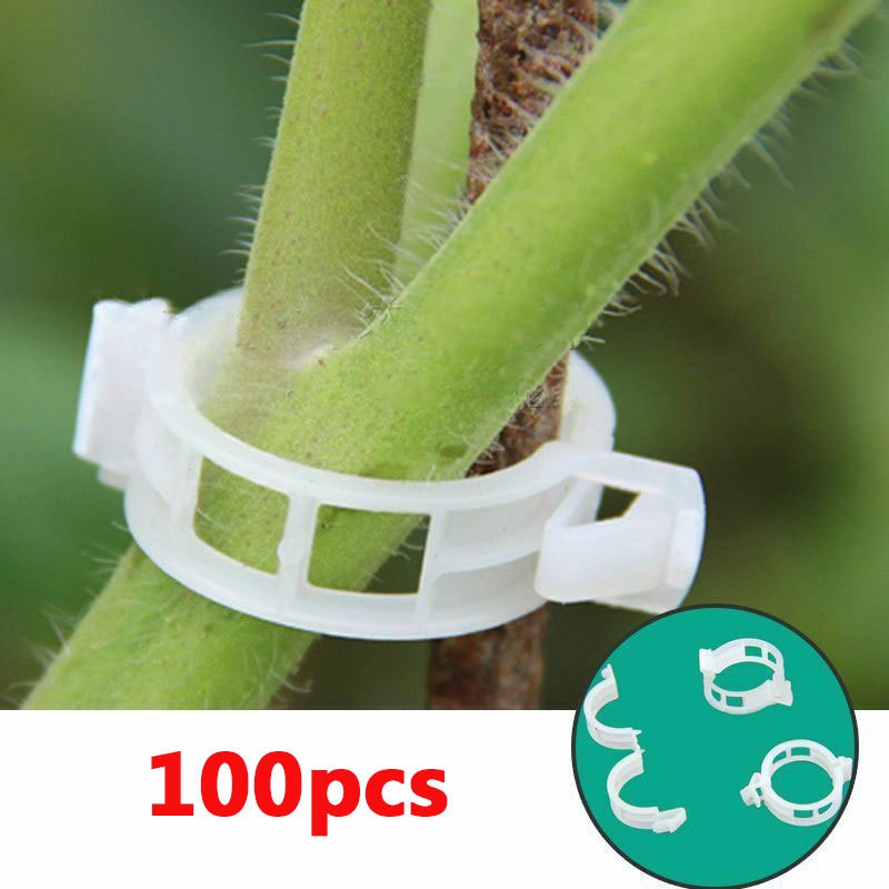Green Garden Safe Plant Support Clips | Bowlift