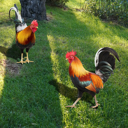 BowLift | Garden figure: Feathered beauty