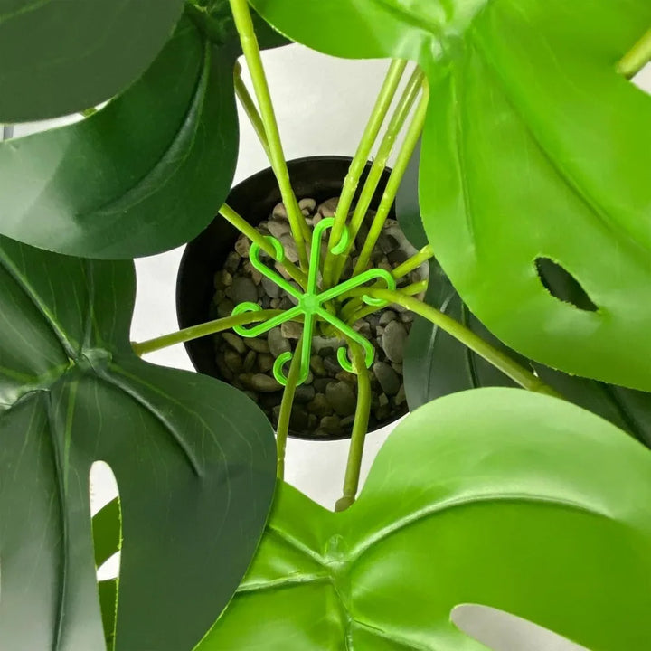 BowLift | Plant Stem Support Frame