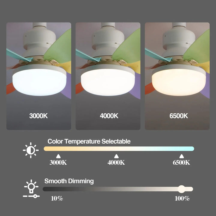 BowLift | Socket Ceiling Fan with Light