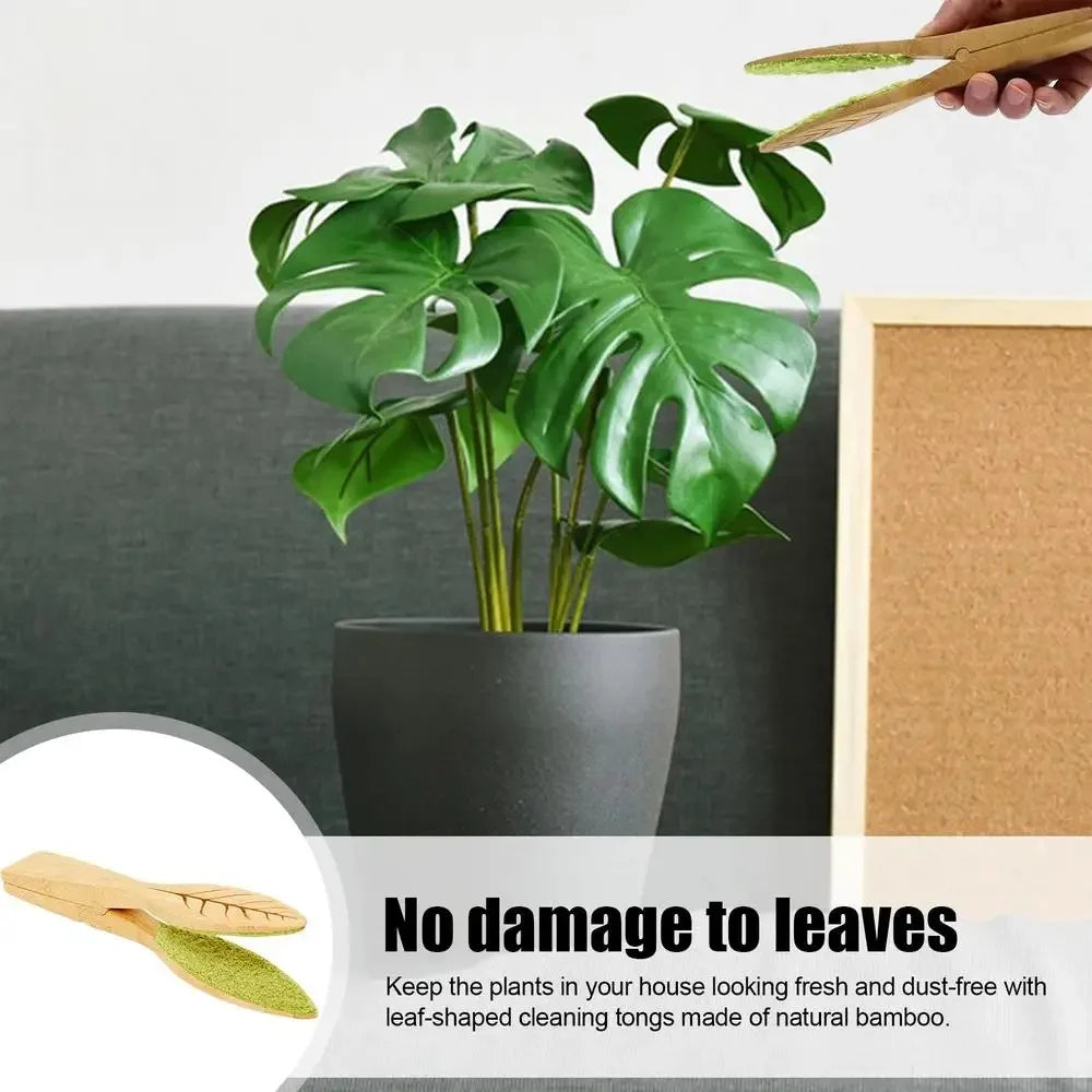 BowLift | Plant leaf cleaning tongs made of wood for gentle leaf care