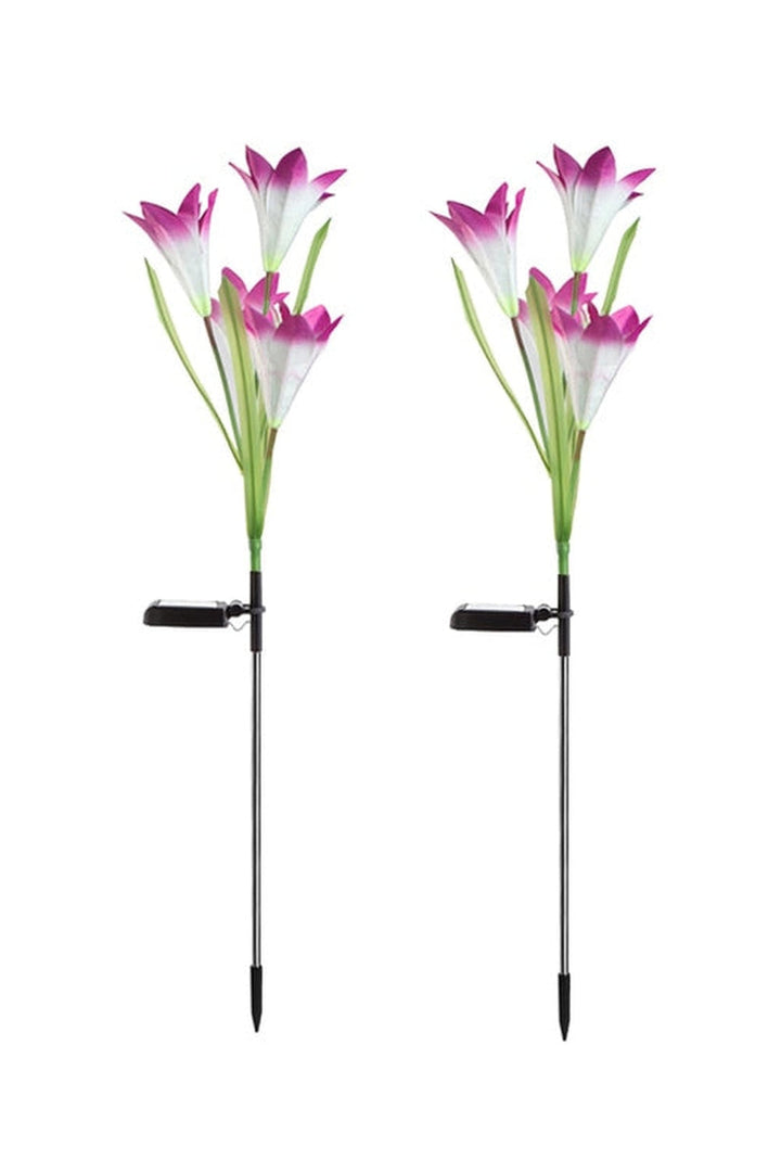 Solar-Violet Lawn Lights | Bowlift