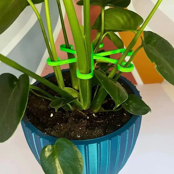 BowLift | Plant Stem Support Frame