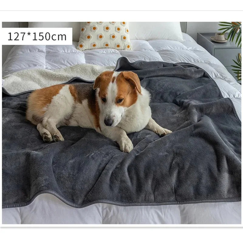 BowLift | Waterproof Pet Blanket PawProof | For Dogs & Cats | Cozy & Durable
