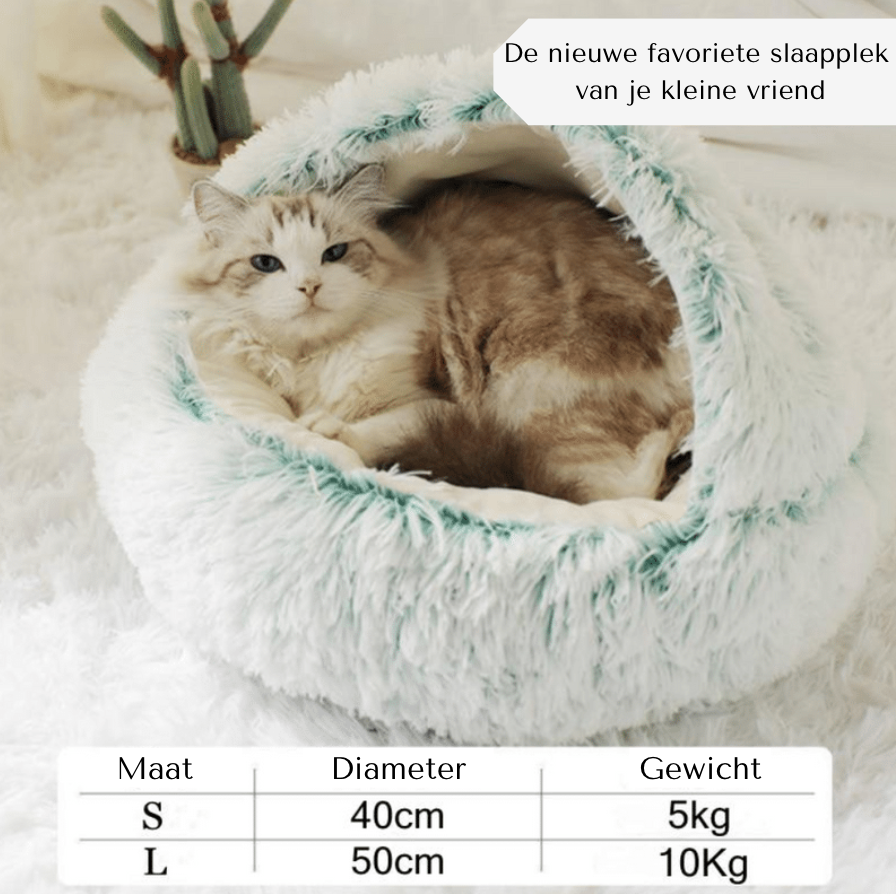 Luxury Basket for Cats and Dogs Bowlift