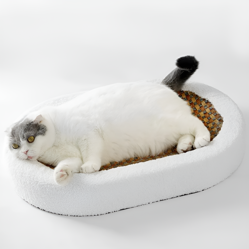 BowLift | Luxury Cat Bed with Scratching Surface – Plush 2-in-1 Cat Furniture
