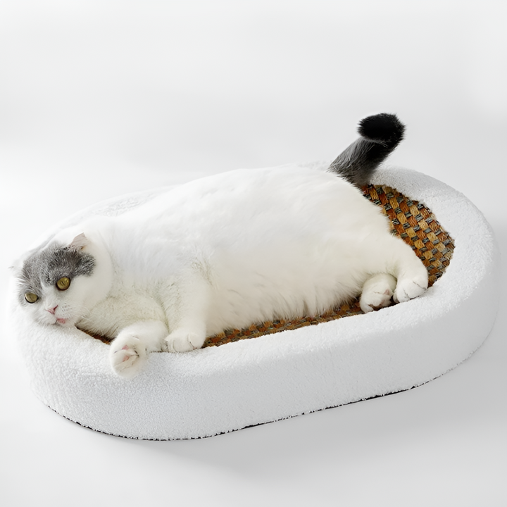 BowLift | Luxury Cat Bed with Scratching Surface – Plush 2-in-1 Cat Furniture