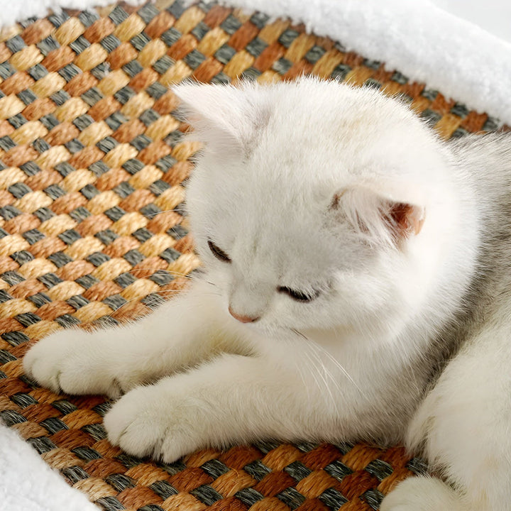 BowLift | Luxury Cat Bed with Scratching Surface – Plush 2-in-1 Cat Furniture