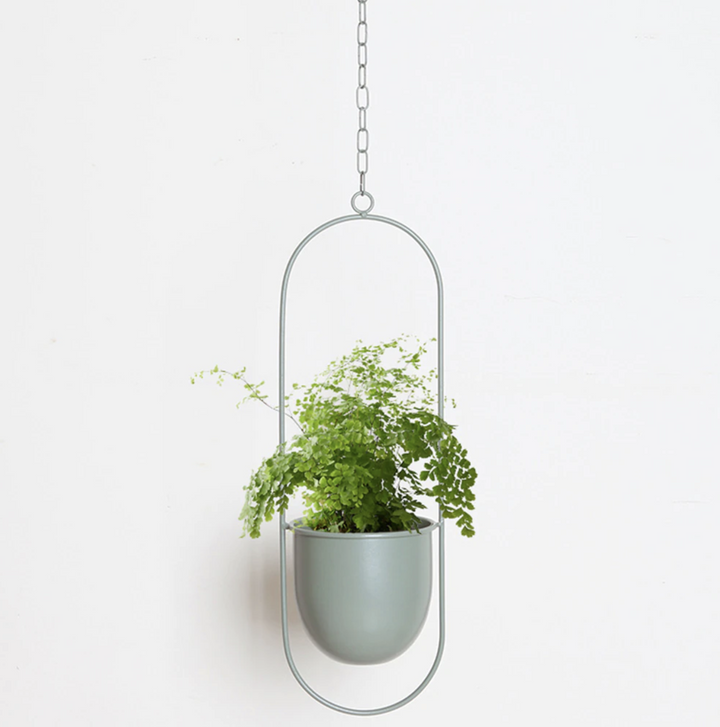 BowLift | Stylish plant suspension in a minimalist design!