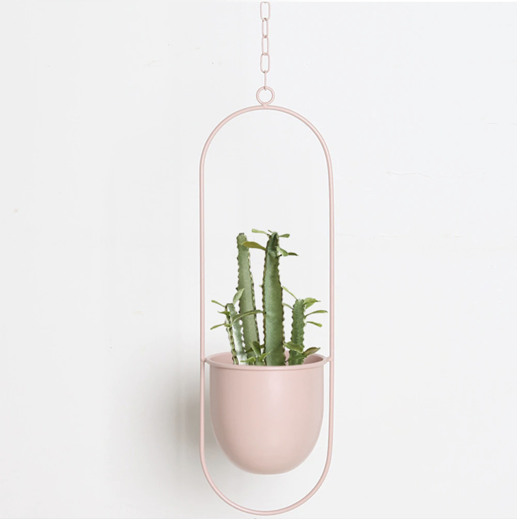 BowLift | FloraFrame – Elegant Metal Plant Holder for Wall or Ceiling