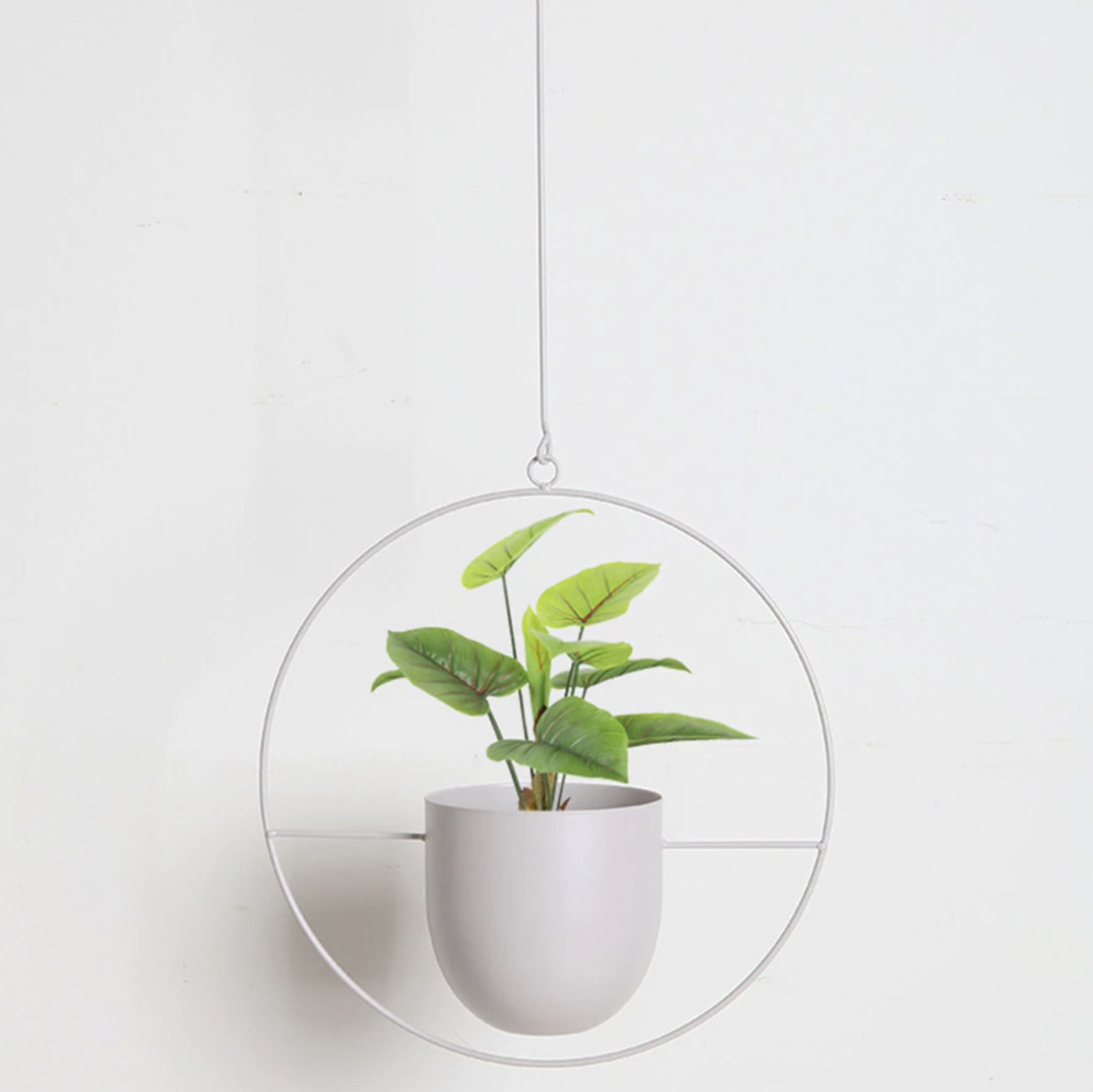 BowLift | FloraFrame – Elegant Metal Plant Holder for Wall or Ceiling