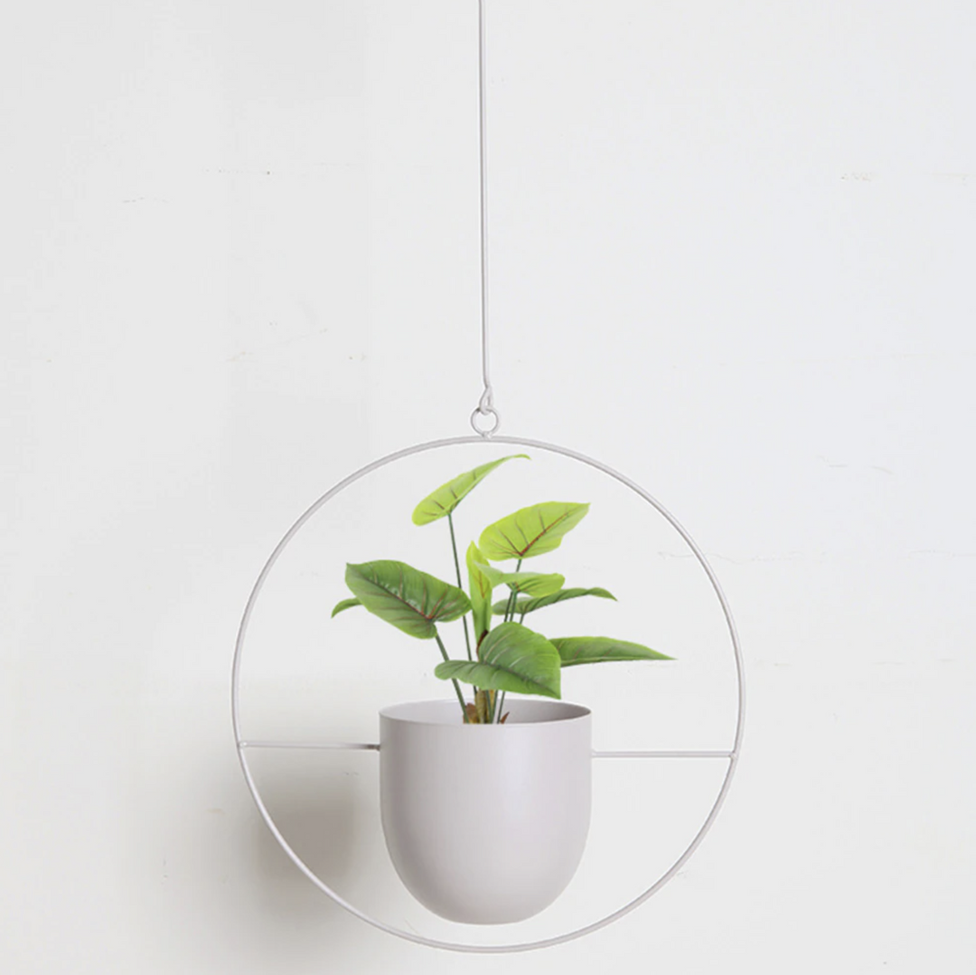 BowLift | Stylish plant suspension in a minimalist design!
