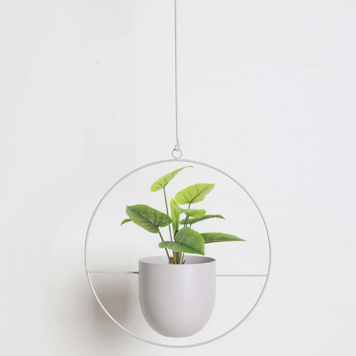 BowLift | Stylish plant suspension in a minimalist design!