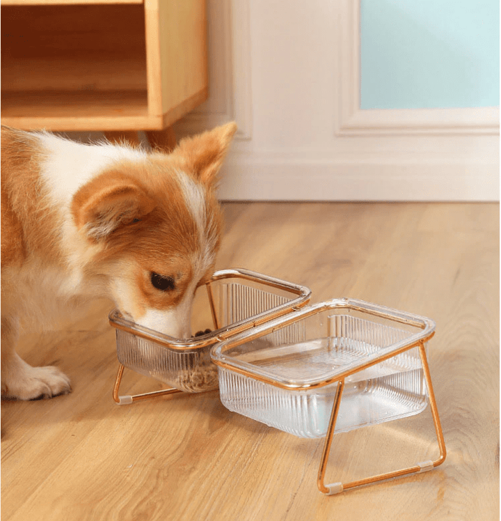 BowLift | Elevated feeding bowl for healthy eating posture in cats & small dogs
