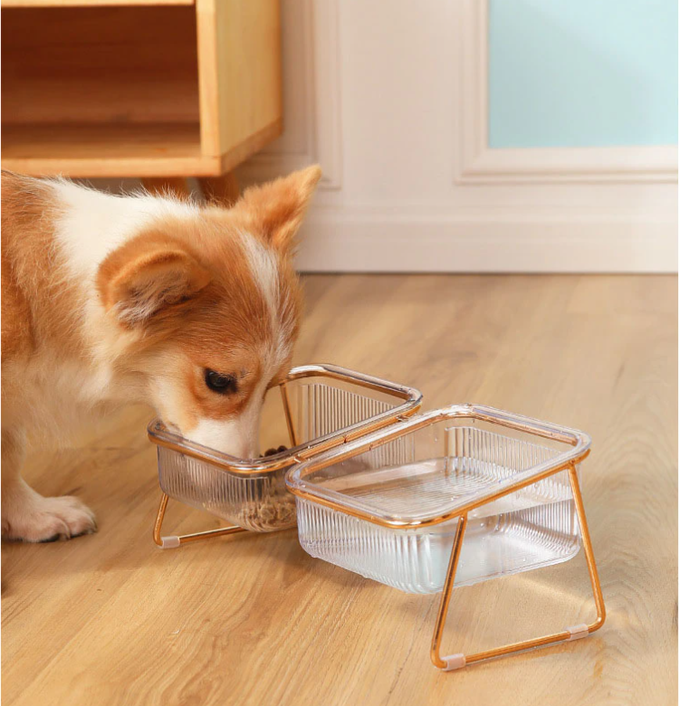 Trendy Feeder for Stylish Animals Bowlift