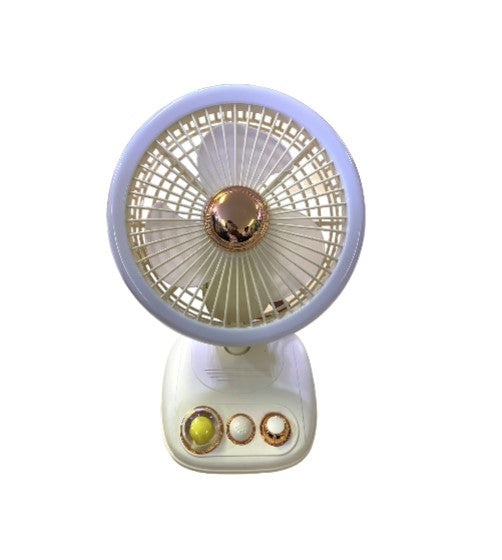 Rechargeable Mini Indoor/Outdoor Floor Fan | Bowlift