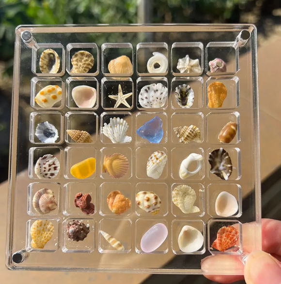 Acrylic Treasure Keeper | Stylishly Store Your Sea Collection | Bowlift