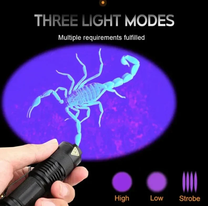 BowLift | UV-LED flashlight – Ultraviolet light for stain detection and pet urine detection