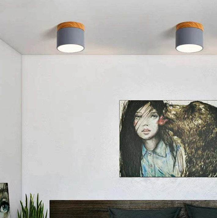 BowLift | Morandi-inspired Modern LED ceiling lamp
