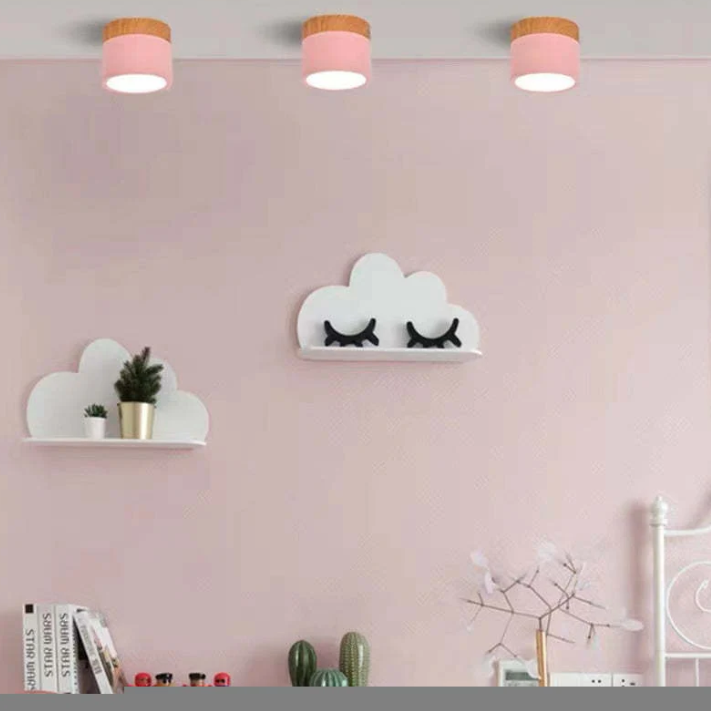 BowLift | Morandi-inspired Modern LED ceiling lamp