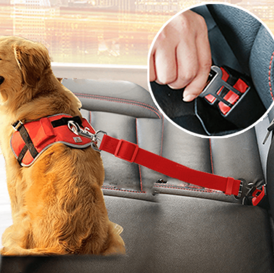 BowLift | Adjustable seat belt for dogs in the car