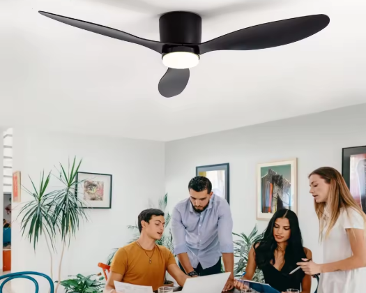 BowLift | Modern Ceiling Fan with Remote Control and LED Lighting