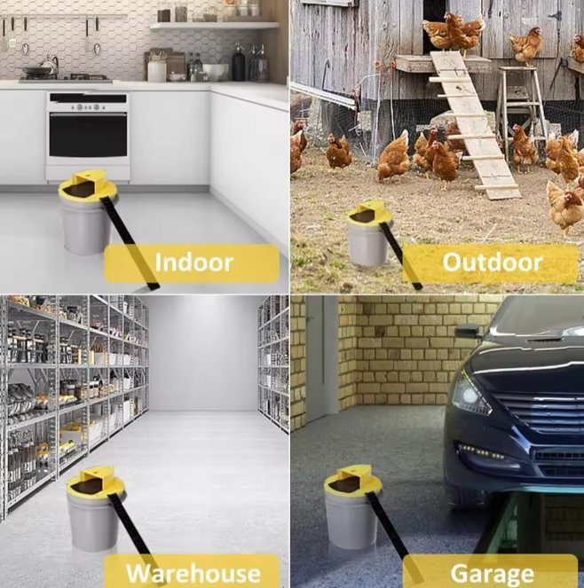 Reusable live trap for mice & rats | Bowlift