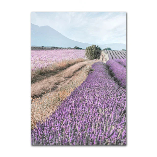 Provence Landscape Purple Lavender Pictures Of Calm Wall Art Fine Art Canvas Prints Gallery Wall Pictures For Living Room Art Decor | Bowlift