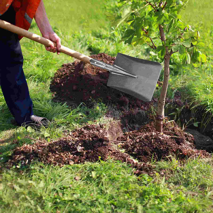 BowLift | TerraGrip Garden Spade | Extra Robust & Handy | For Roots & Lawn Edges | Carbon Steel Rust-Free