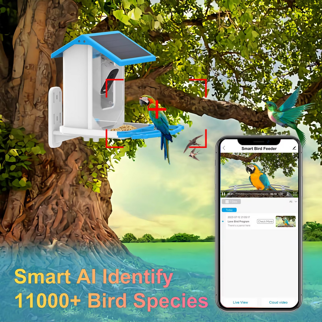 BowLift | Solar-Powered Smart Bird Feeder with HD AI Camera