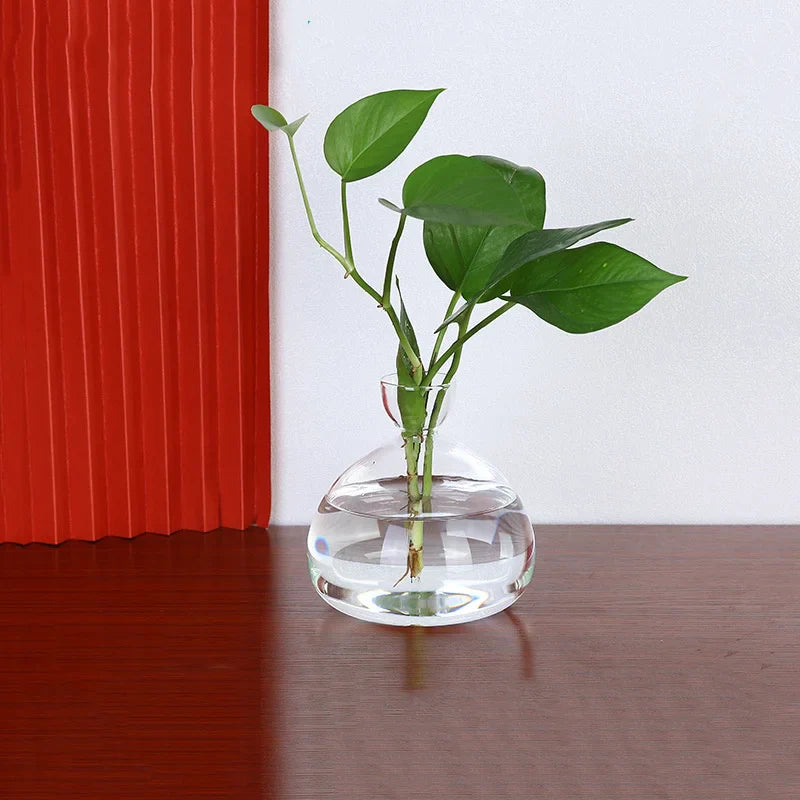 BowLift | Avocado Vase Glass | Transparent Germination Glass | Plant Container for Avocado Cultivation | 10–15 cm