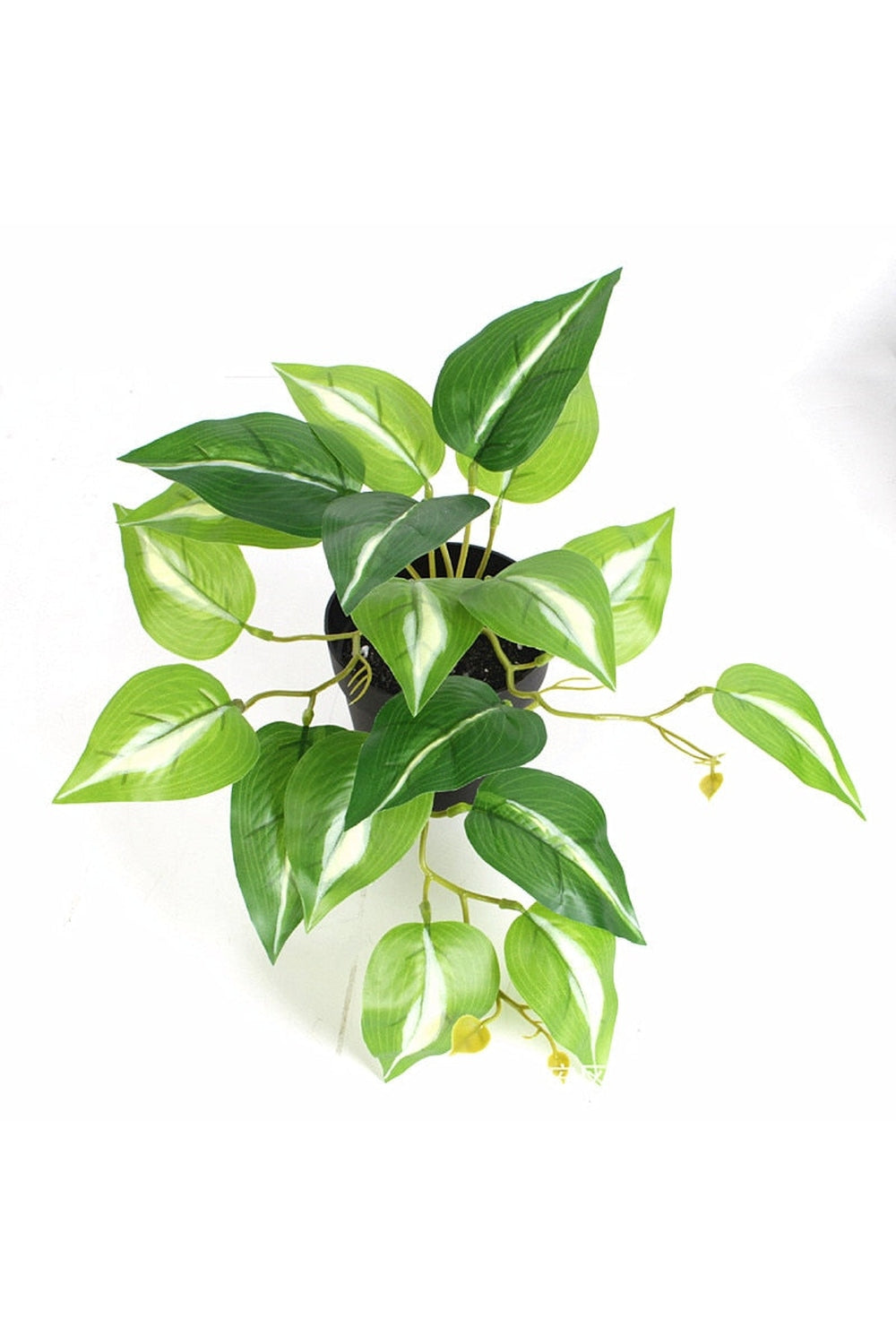green grapevine wall decoration | Bowlift