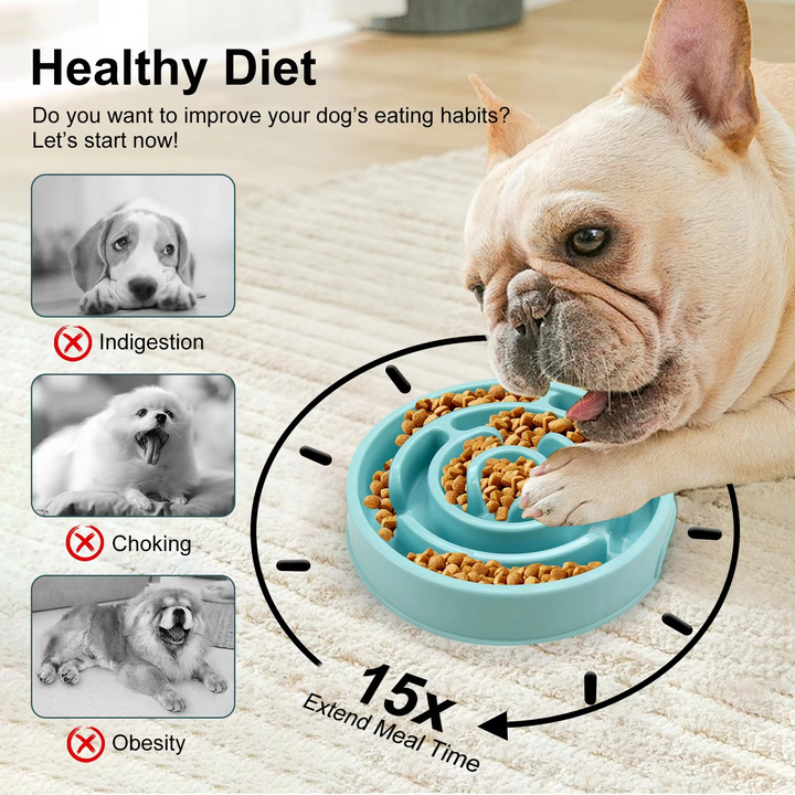 BowLift | Ultimate Pet Slow Feeder Bowl – Secure and Robust for All Pet Sizes