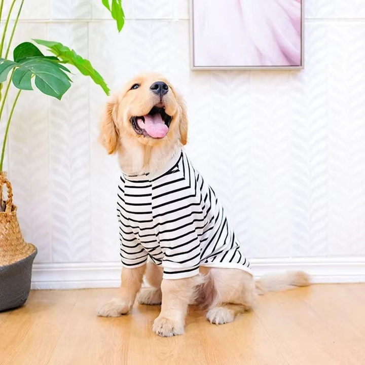 BowLift | Cotton Summer T-Shirt for Large Dogs – Breathable Tee for Golden Retrievers, Huskies, Labradors, Corgis and More