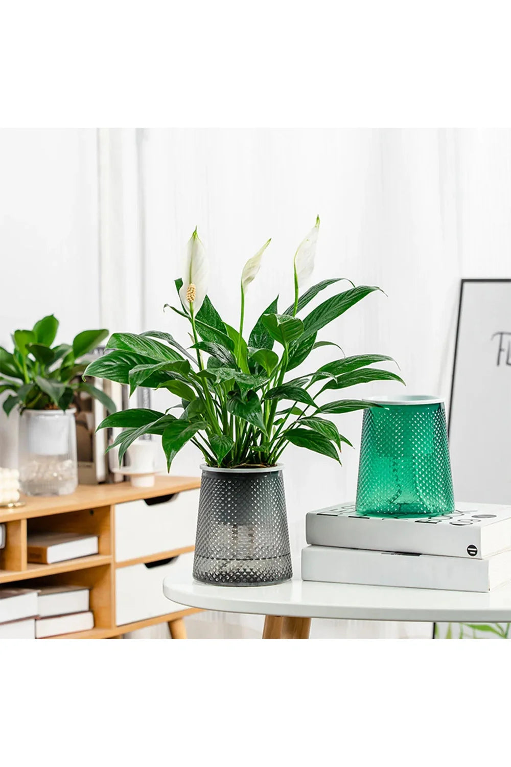 Self-watering flower pot | Bowlift