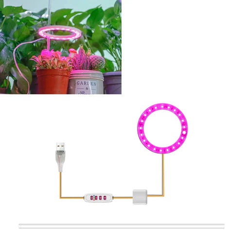 BowLift | Plantuno Ring Plant Light | LED Grow Light with Timer | USB | Dimmable & 3 Light Colors | 1–4 Heads