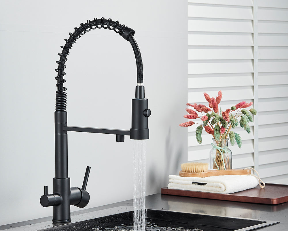 Sandsberg Black Filter Kitchen Faucet with Dual Outlet – Mixing Tap with Water Filter for Kitchens, Water Treatment and Cleaning | Bowlift