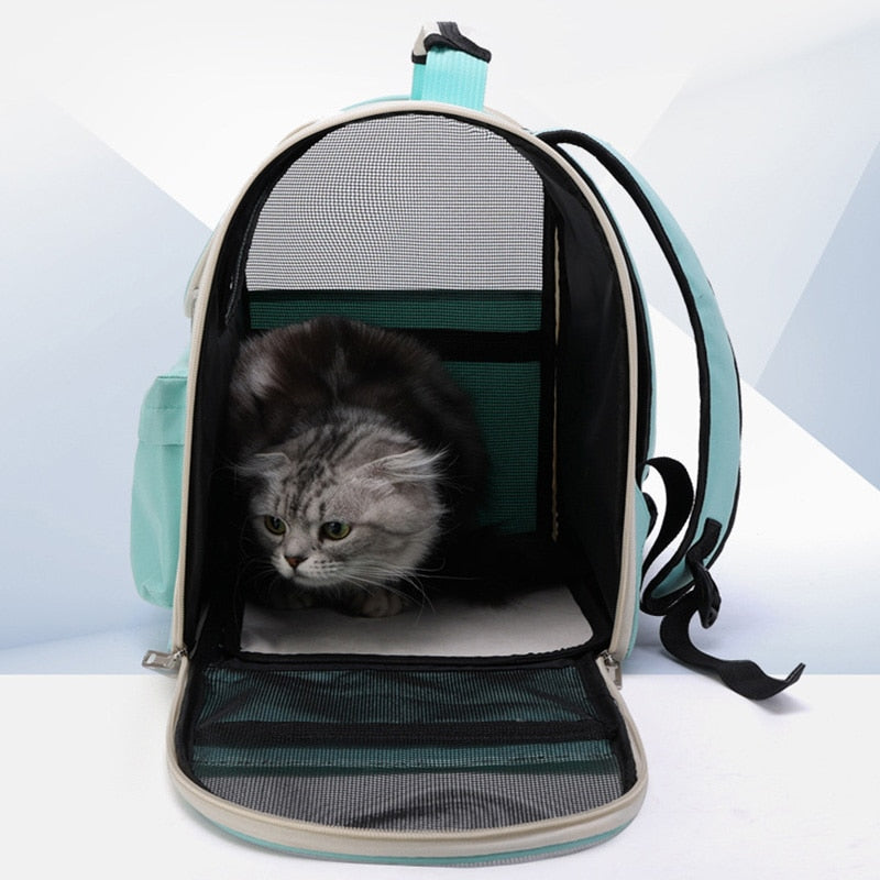 BowLift | Breathable Transparent Pet Cat Carrier Bag