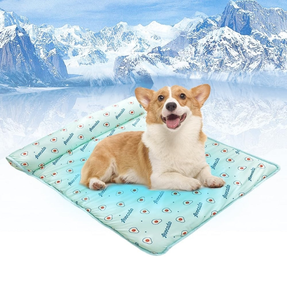 Self Cooling Summer Pet Bed | Bowlift