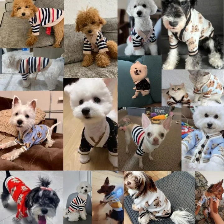 Dog cardigan made of knit warm and striped Bowlift