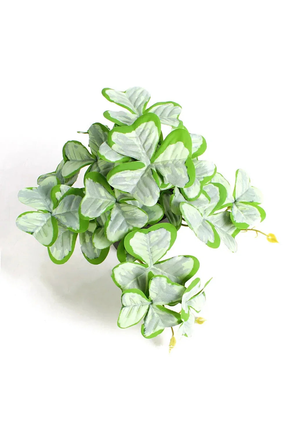Green Artificial Plants | Bowlift