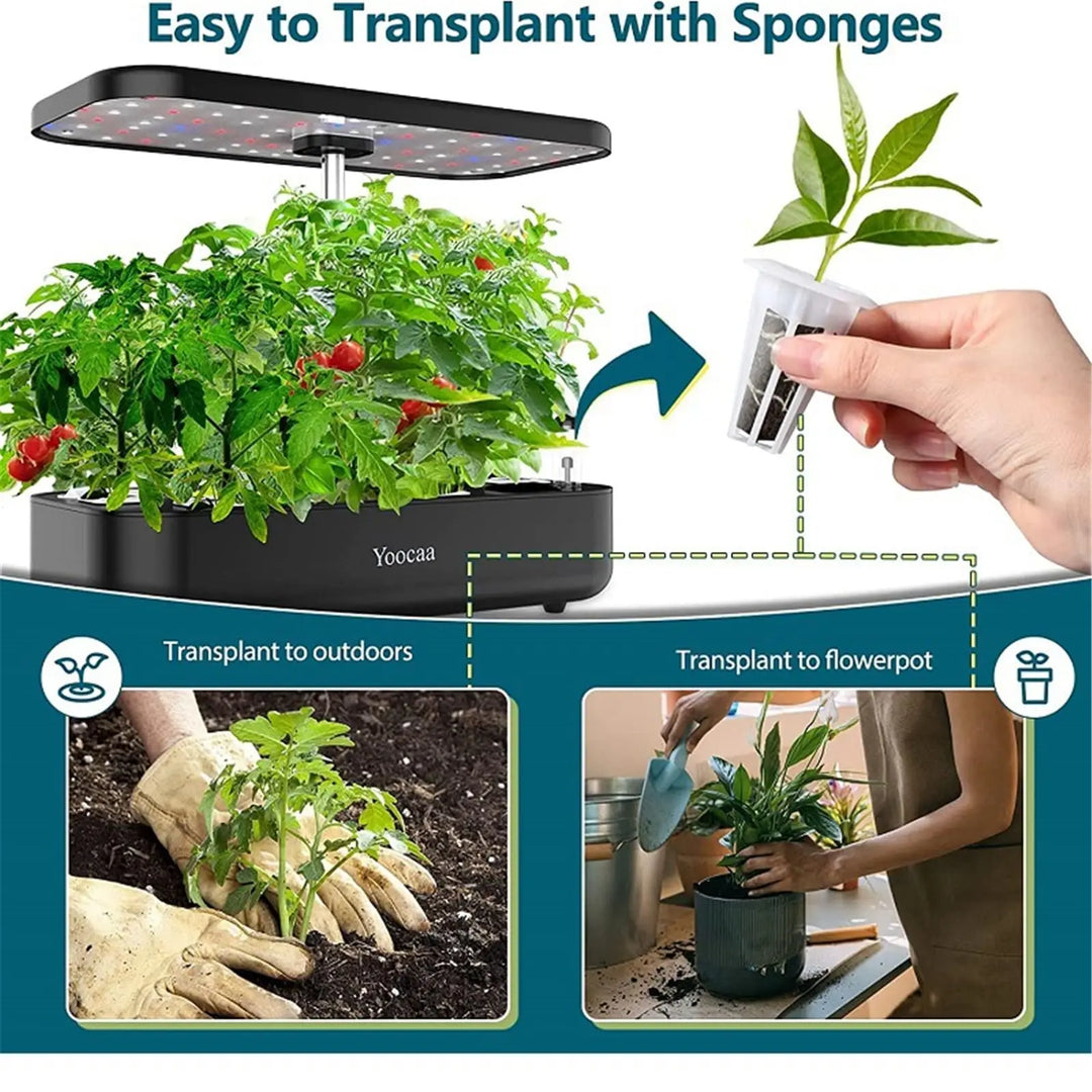 BowLift | HydroLeaf Hydroponics Starter Set 120 pieces | With baskets, sponges & covers | For indoor gardening & cultivation