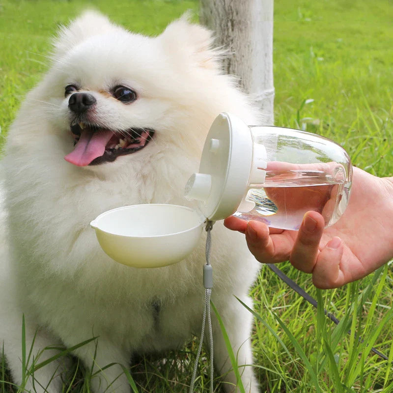 Mobile water bottle for dogs & cats Bowlift