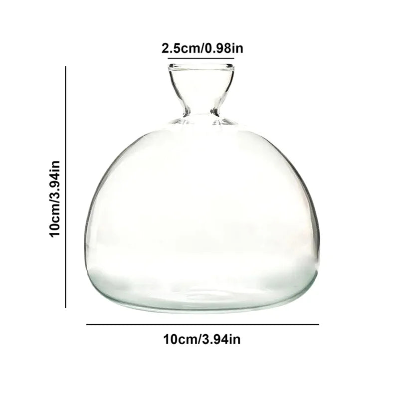 BowLift | Avocado Vase Glass | Transparent Germination Glass | Plant Container for Avocado Cultivation | 10–15 cm