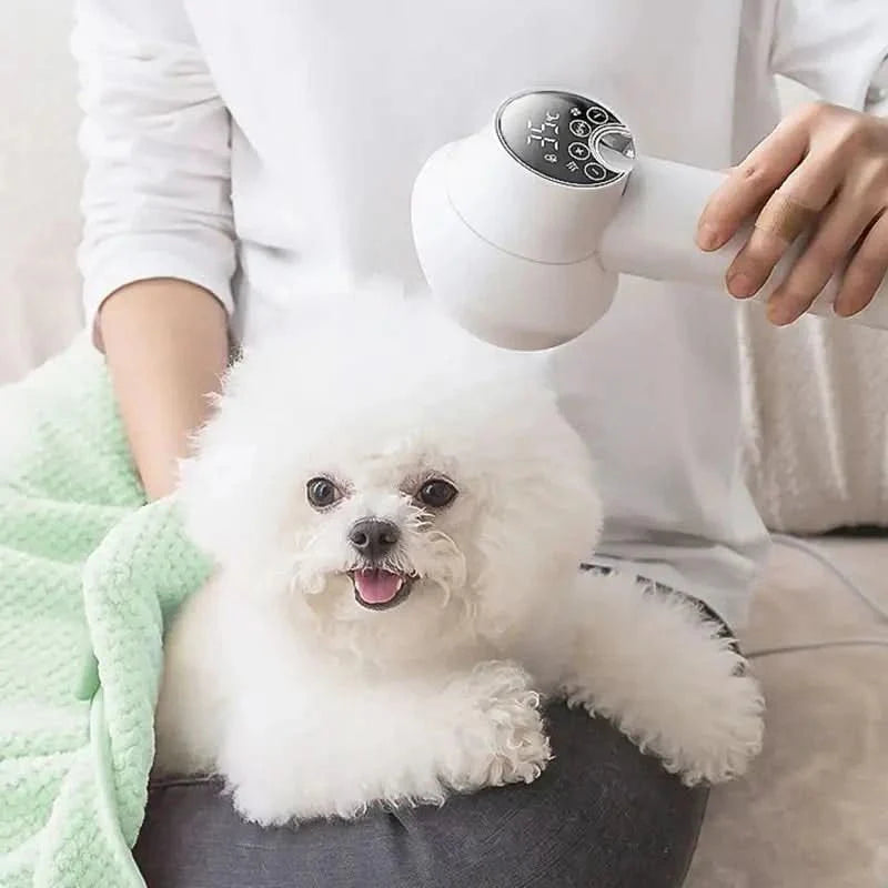 BowLift | Gentle Drying & Brushing for a Relaxed Coat Care Experience