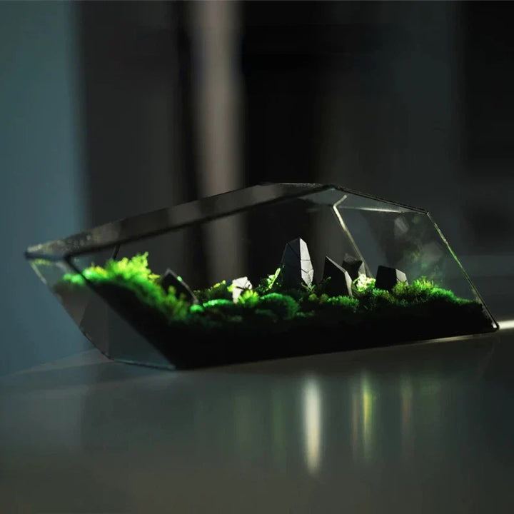 Geometric Glass Moss Planter Terrarium Vase | Bowlift