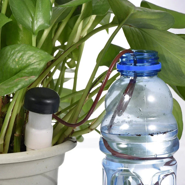BowLift | AquaTerris Plant Irrigation System | 8-Piece Set | Self-Watering Ceramic Spikes | Automatic & For Indoor Use