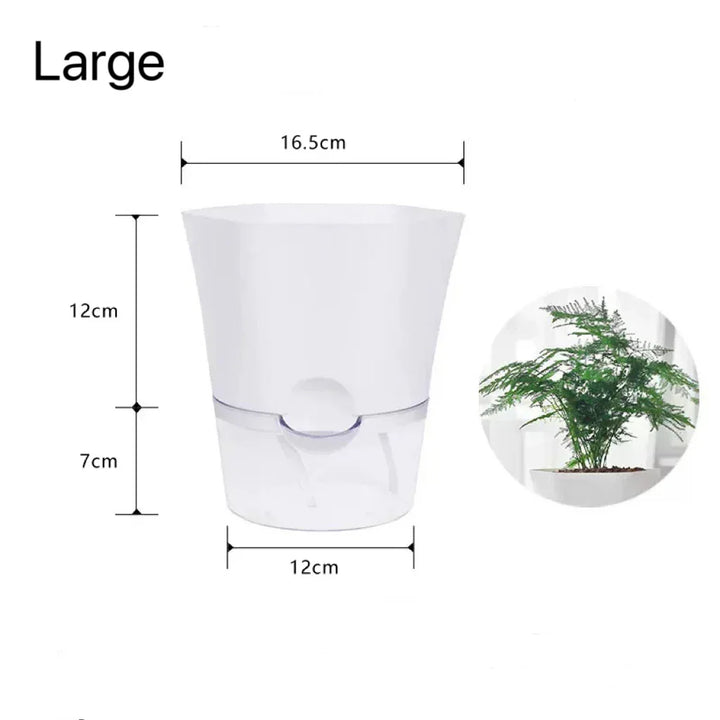 BowLift | Plantilo Self-watering Flower Pot | Transparent | Automatic Water Supply | For Houseplants