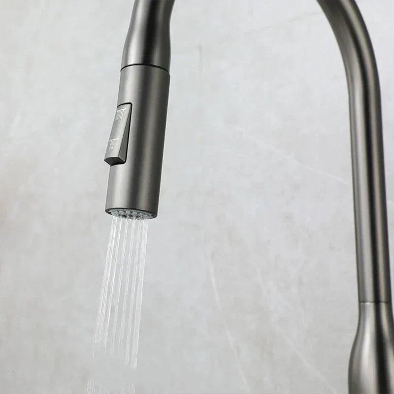 AquaStream Luxe – Adjustable Kitchen Faucet with Hand Shower Bowlift